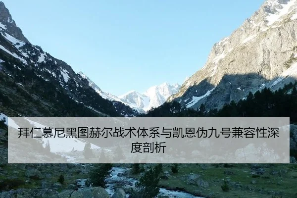 拜仁慕尼黑图赫尔战术体系与凯恩伪九号兼容性深度剖析